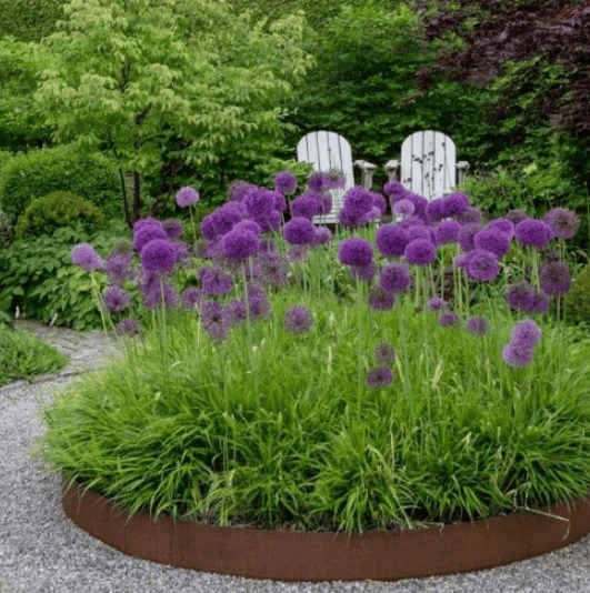 Corten steel edging project Corten steel edging project